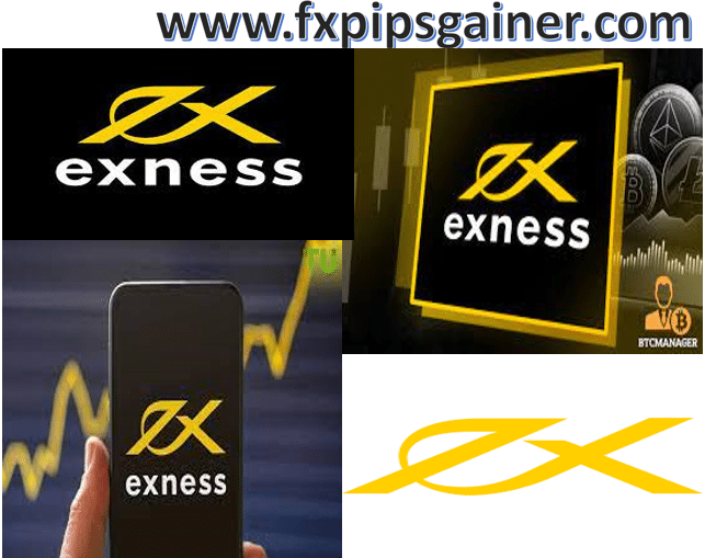 Comprehensive Guide to Analytics Exness 4