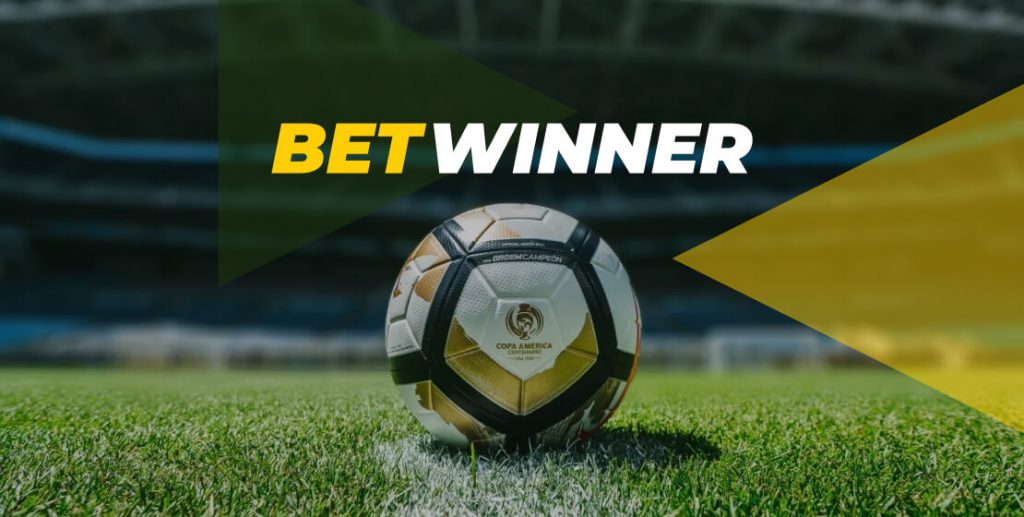 Discover the Potential of Betwinner A Comprehensive Guide