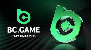 The Complete Guide to BC.Game Bonuses The Complete Guide to BC.Game Bonuses